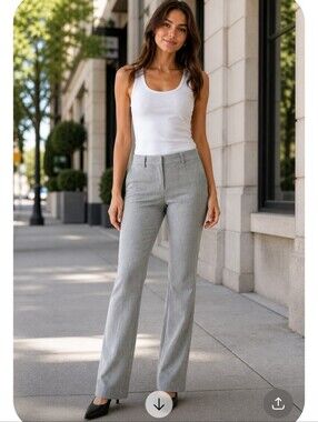 Express Editor Light Gray Stretch Dress Pants 2R Slim Straight Career Workwear